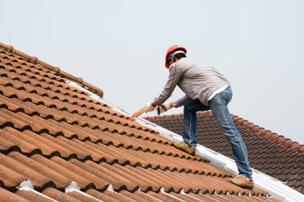 Best Roof Ventilation Installation  in Lely, FL