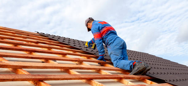 Best Roof Waterproofing  in Lely, FL